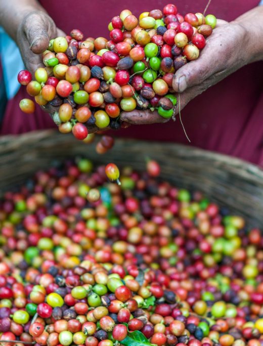 rodrigo-flores-T5qjs-63kqQ-unsplash
